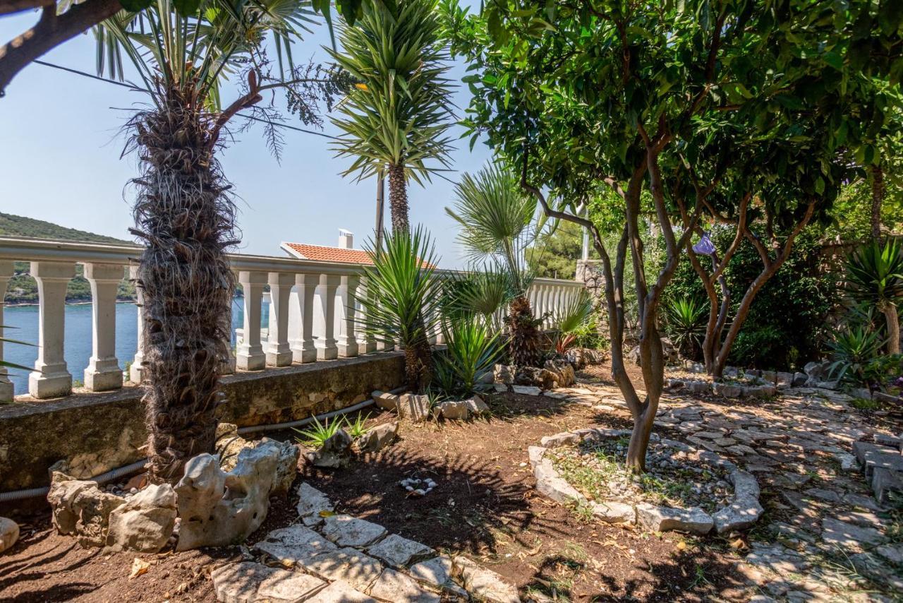 Sea Oasis Apartments - Milosevic كوتور المظهر الخارجي الصورة